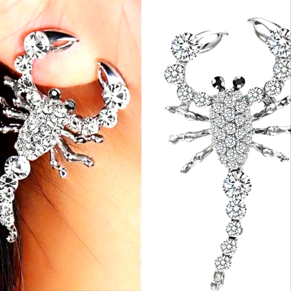 Beautiful Scorpion 🦂 stud earrings